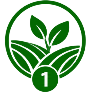 icon 1