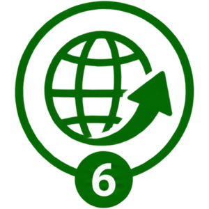 icon 6