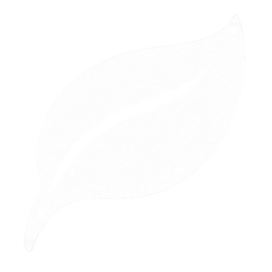 icon2