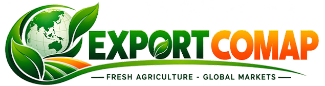 EXPORT COMAP